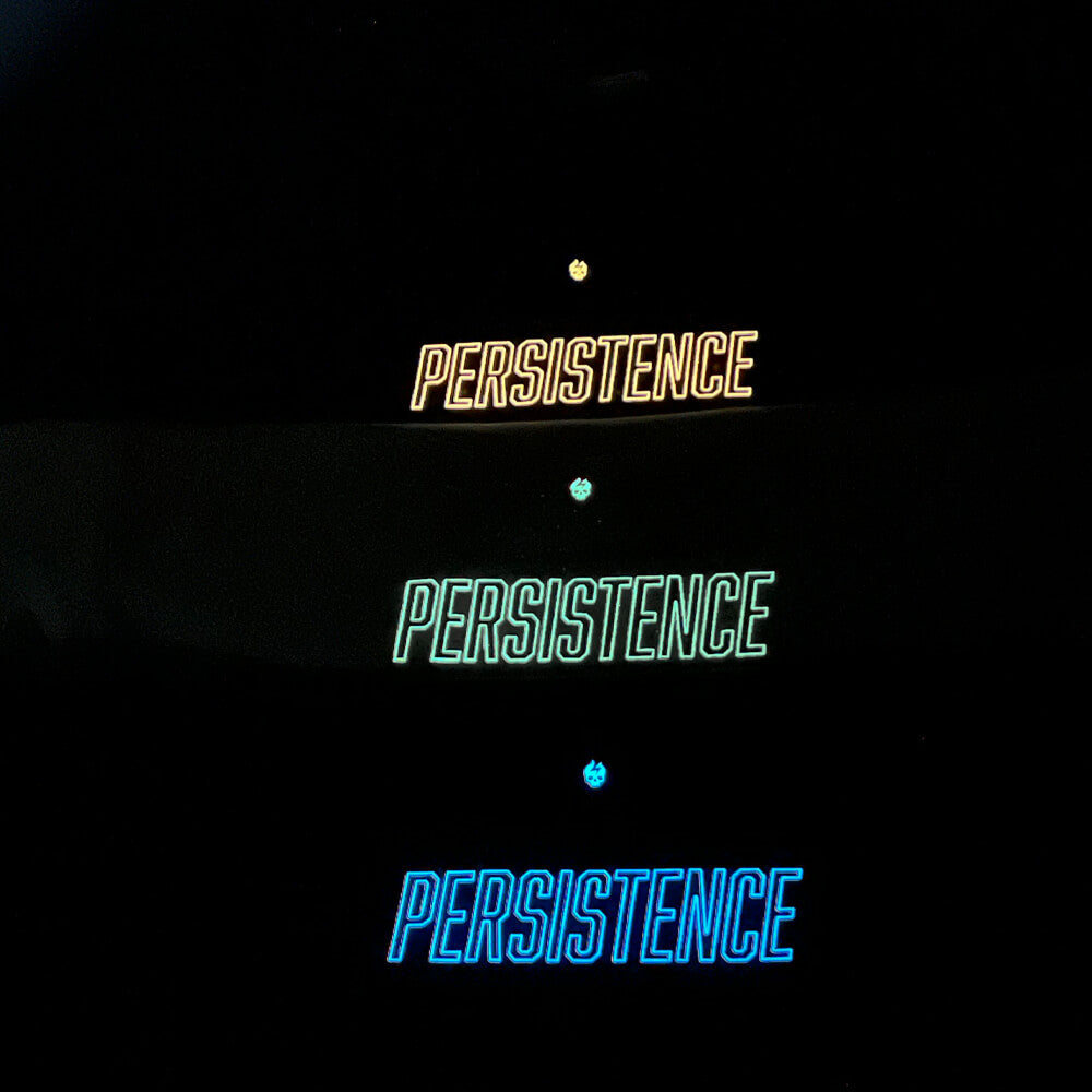 Polera Regular fit PERSISTENCE - Pistacho